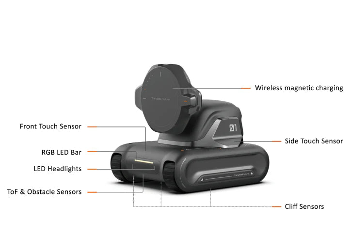 Looi Robot - AI Robot Companion