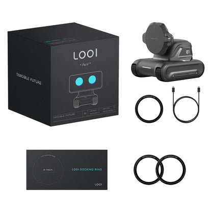 Looi Robot - AI Robot Companion